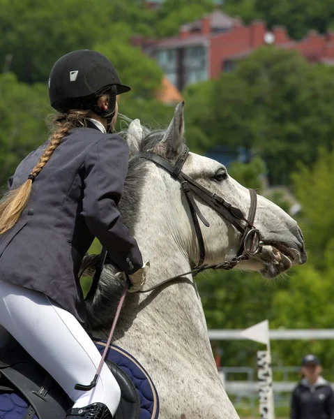 Vladivostok Primorsky Krai Rússia 2018 Ano Cavaleiros Cavalo Superar Obstáculos — Fotografia de Stock