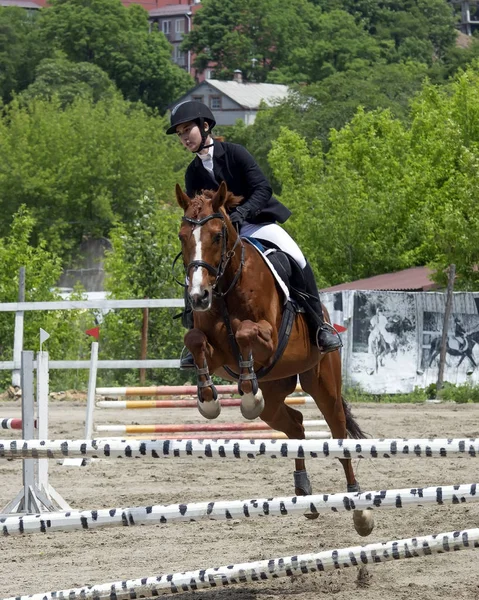 Vladivostok Primorsky Krai Rússia 2018 Ano Cavaleiros Cavalo Superar Obstáculos — Fotografia de Stock