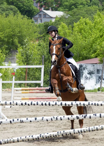 Vladivostok Primorsky Krai Rússia 2018 Ano Cavaleiros Cavalo Superar Obstáculos — Fotografia de Stock