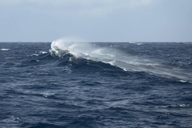 rüzgara karşı hareket dalga okyanus