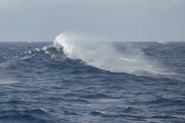 fırtına dalgası rüzgara karşı hareket eder.