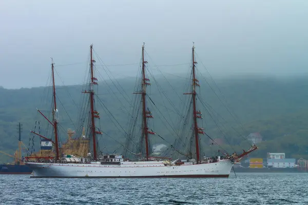 Vladivostok Primorsky Krai Ρωσία 2020 Ιστιοπλοϊκό Barque Sedov Στον Κόλπο — Φωτογραφία Αρχείου