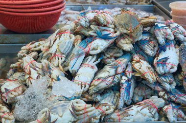 Balık pazarının tezgahında pençeleri bağlı yengeçler var.