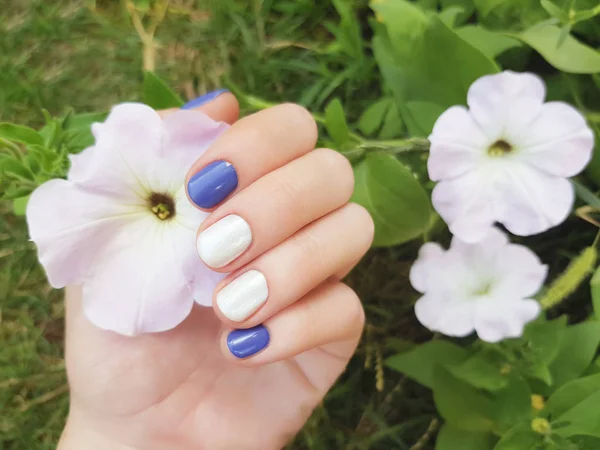 Mão Feminina Com Design Unhas Branco Azul — Fotografia de Stock