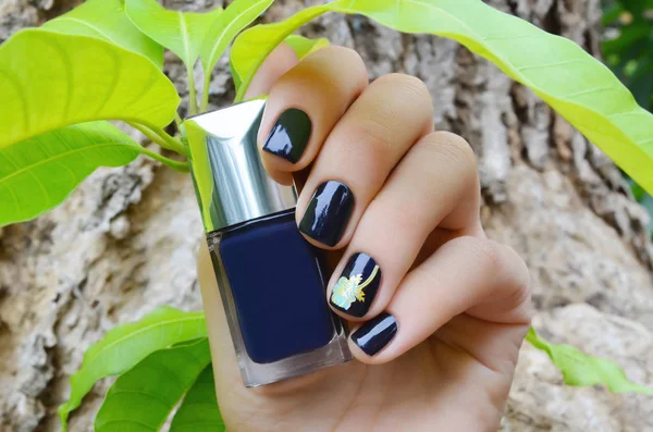 Mãos Femininas Com Design Unhas Azul Escuro Segurando Garrafa Esmalte — Fotografia de Stock