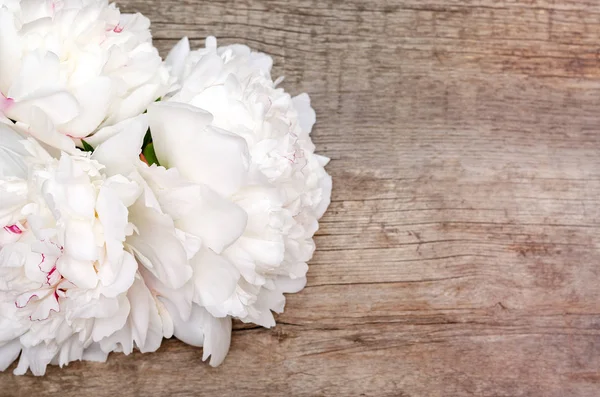 Duży Biały Piwonia Kwiat Podłoże Drewniane — Zdjęcie stockowe