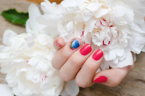 Bela Mão Feminina Com Design Unhas Vermelhas Segurando Peônia Branca — Fotografia de Stock