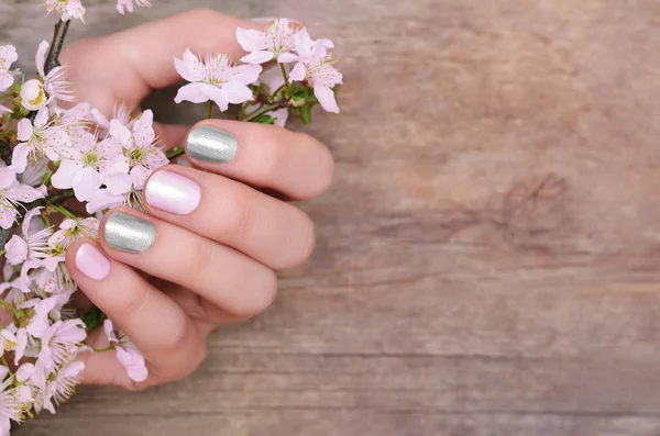 Γυναικεία Χέρια Ροζ Και Ασημί Νυχιών Σχεδιασμός Κρατώντας Άνθος Κερασιάς — Φωτογραφία Αρχείου