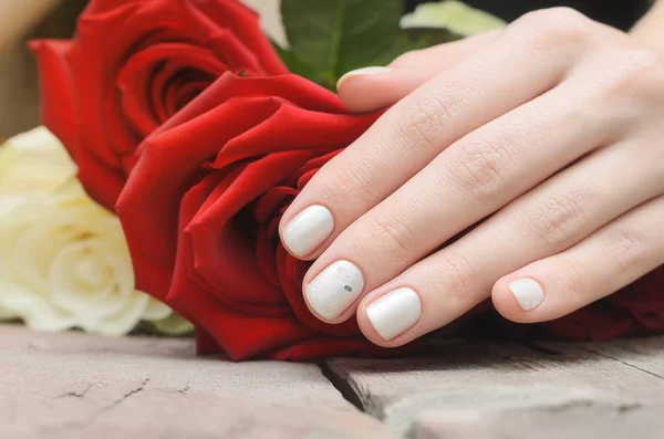 Mãos Femininas Com Design Unhas Brancas Segurando Rosa Vermelha — Fotografia de Stock