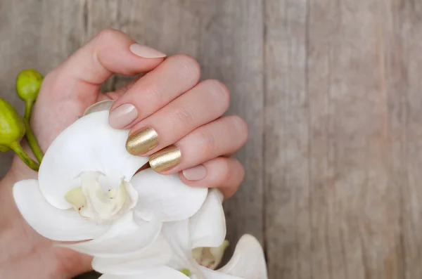 Mãos Femininas Com Design Unhas Ouro Segurando Rorchid Branco — Fotografia de Stock