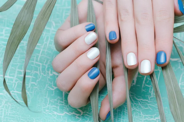 Женские Руки Синим Белым Дизайном Ногтей — стоковое фото