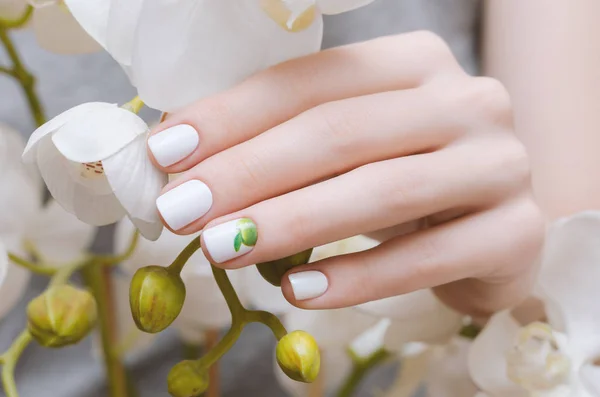 Mãos Femininas Com Design Unhas Brancas Segurando Orquídea Branca — Fotografia de Stock