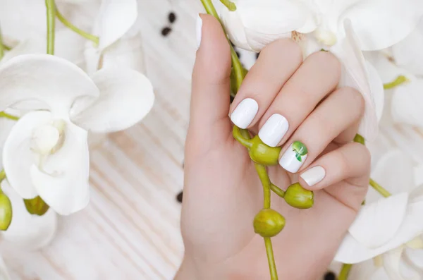 Mão Feminina Com Design Unhas Brancas Segurando Orquídea Branca — Fotografia de Stock