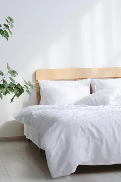 Dormitorio interior con cama y gran flor indor — Foto de Stock