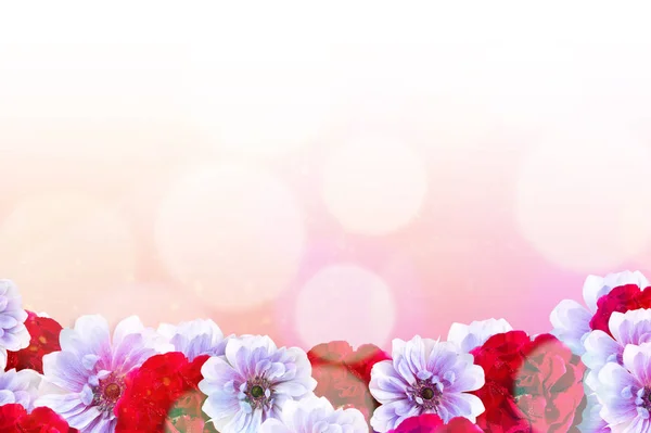 Весенний природный фон с басом, лепестком и боке на розовом фоне. Рама из цветка — стоковое фото