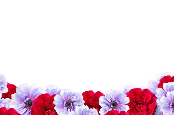 Розовый и красный цветок рамка изолированы на белом фоне — стоковое фото