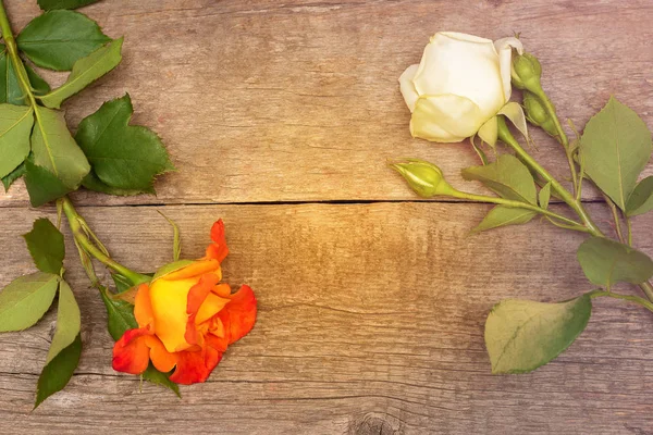 Białe i pomarańczowe róże na drewnianym tle — Zdjęcie stockowe