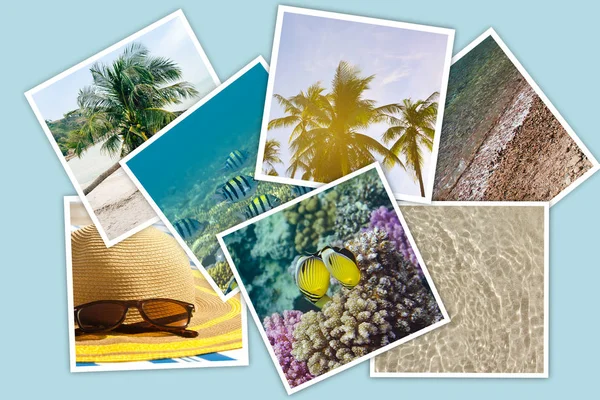 Pila di foto che mostrano Vacanze, tropici, mare, estate, mondo subacqueo — Foto Stock