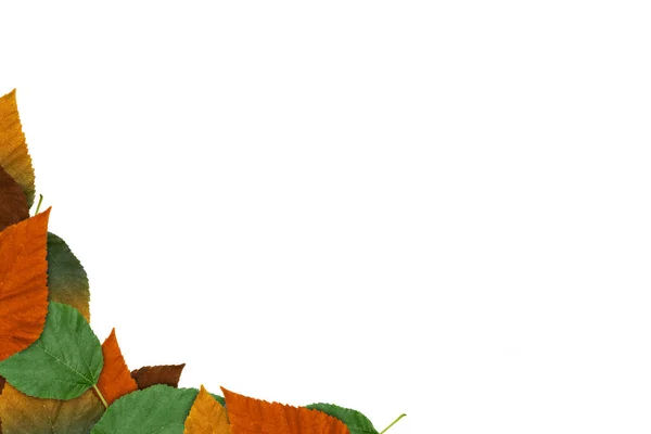 Frame of autumn leaves isolated on white background. — Stock Photo, Image