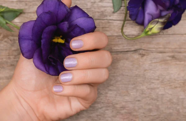 Main féminine avec la conception des ongles pourpre tenant fleur pourpre — Photo