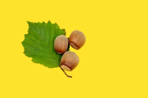 Сырые лесные орехи с листьями на желтом фоне — стоковое фото