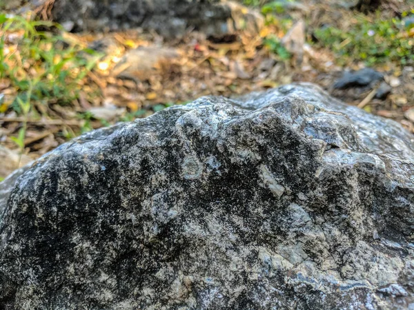 Großer Stein Mit Verschwommenem Hintergrund Garten — Stockfoto