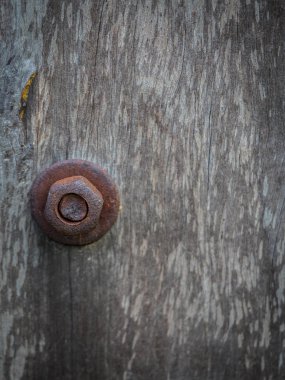 Rusty fındık ahşap kutup üzerinde