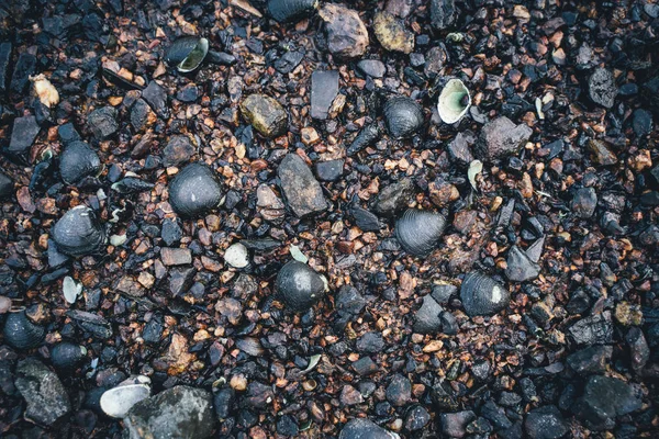Pequeñas piedras junto al mar con efecto bokeh. Fondo decorativo borroso —  Fotos de Stock