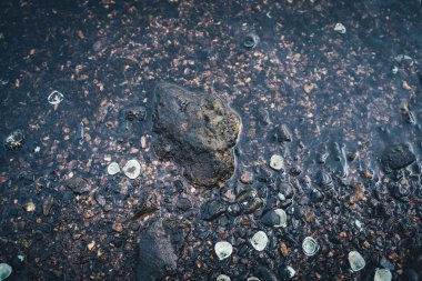 Bokeh etkisi ile deniz tarafından küçük taşlar. Bulanık dekoratif arka plan