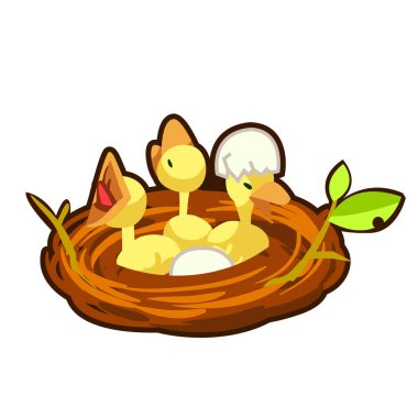 Yuvadaki küçük kuş