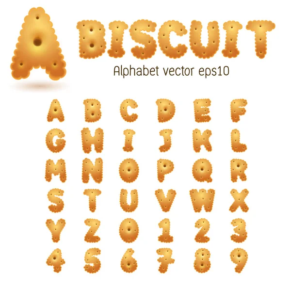 Biscuit alphabets and numbers — Stock Vector