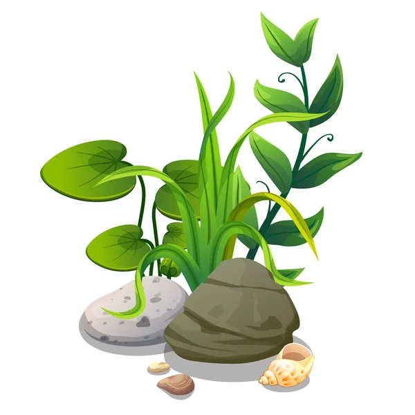 Κάτω από υδατά φυτά και αντικείμενο — Διανυσματικό Αρχείο