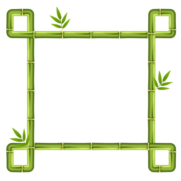 Bamboo frame and border — Stock Vector