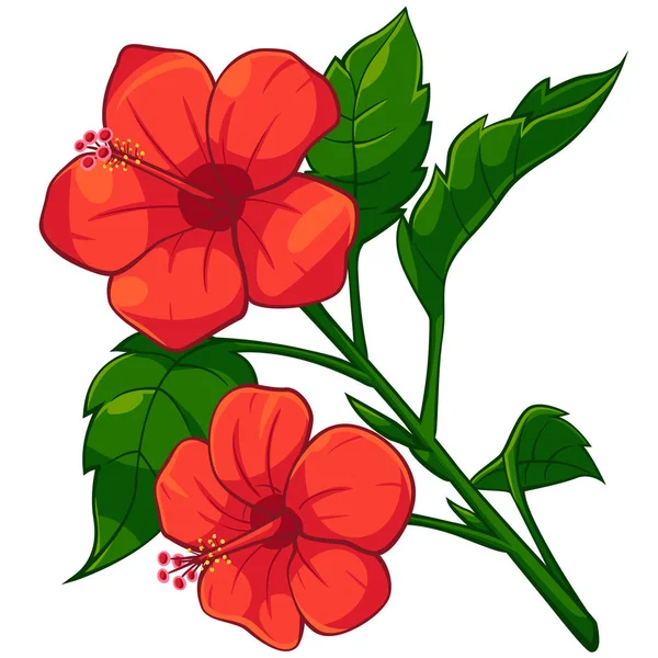 Rajzfilm a vörös hibiszkusz — Stock Vector