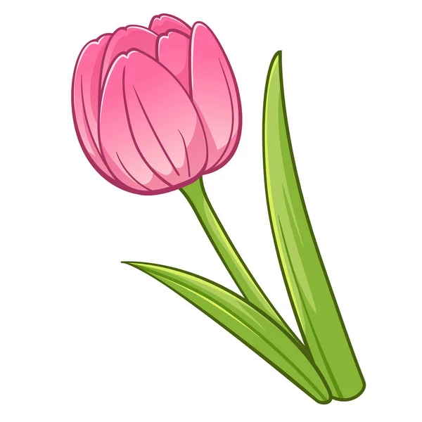 Tulipán estilo de dibujos animados — Vector de stock