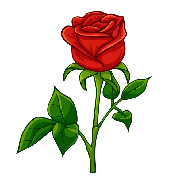 Red rose cartoon style — Stock Vector