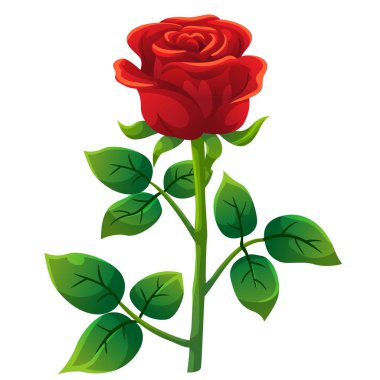Kırmızı gül karikatür tarzı