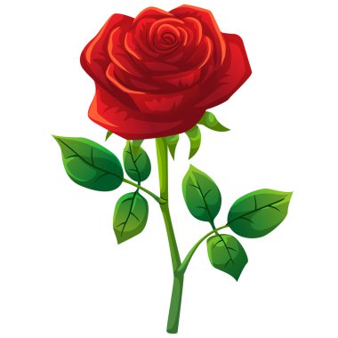 Kırmızı gül karikatür tarzı