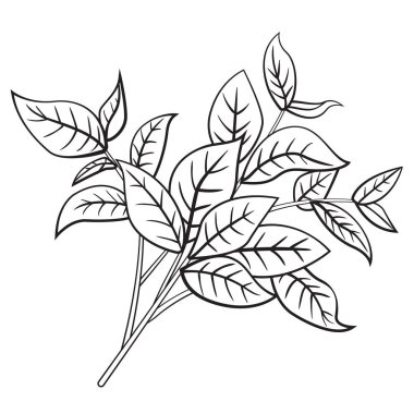 Ağaç dalı karikatür tarzı