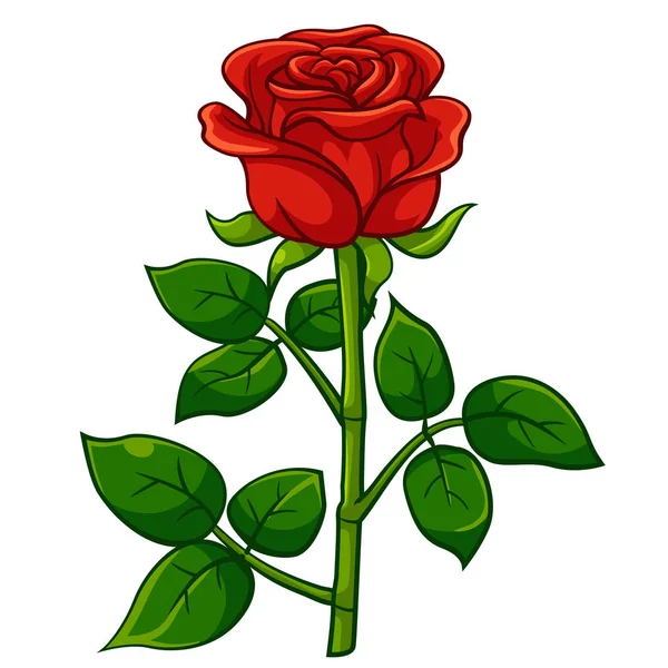 Red rose cartoon style — Stock Vector