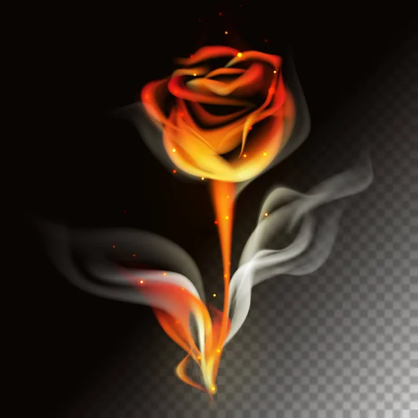 Rosa de fuego — Vector de stock