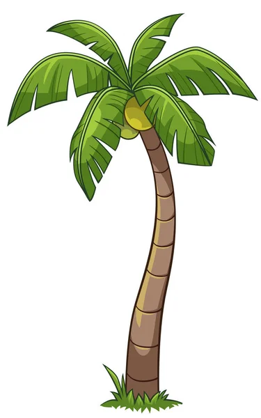 Árbol de coco estilo de dibujos animados — Vector de stock