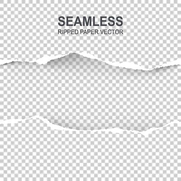 Nahtlos gerissenes Papier und transparenter Hintergrund mit Platz — Stockvektor