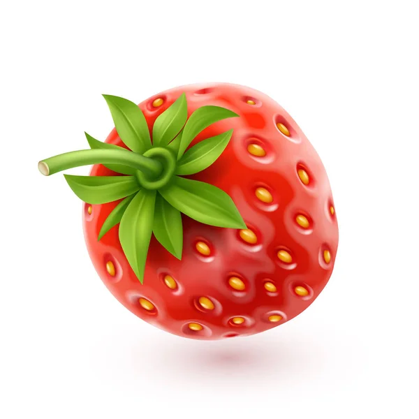草莓逼真的图标 — 图库矢量图片