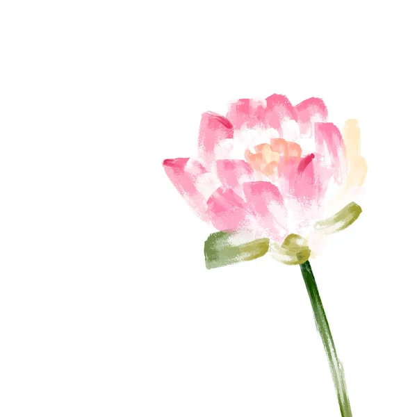 Lotus kwiatowy z liści i kwiatów, rysunek akwarela. Wiosna — Wektor stockowy