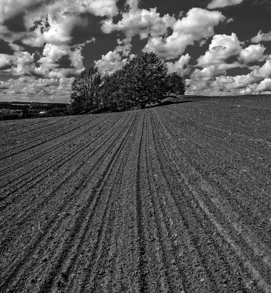 gün, açık havada, sokak, ağaçlar, Doğa, güzel, Doğa, güzel, manzara, yaz
