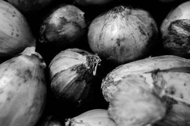 sokakta, Doğa, açık havada, bitki, yay, siyah beyaz görüntü, tek renkli birkaç soğanı, soğan,