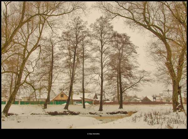 Природа Дерева Зовні Село Відкритому Повітрі Зима Сніг Холод — стокове фото