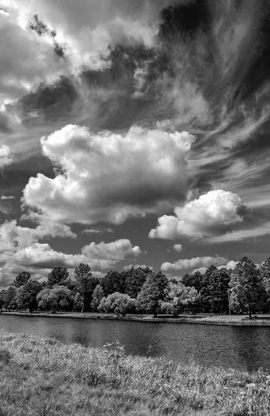 Dışarıda, doğada, açık hava, açık havada, ağaçlar, orman, ormanın içinde sokakta kırsal kesimde, 