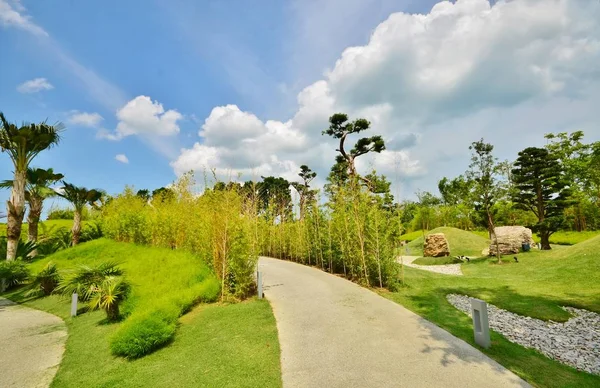 Singapur 'daki Marina Bay Sands Oteli yakınlarındaki en güzel park bahçeleri.